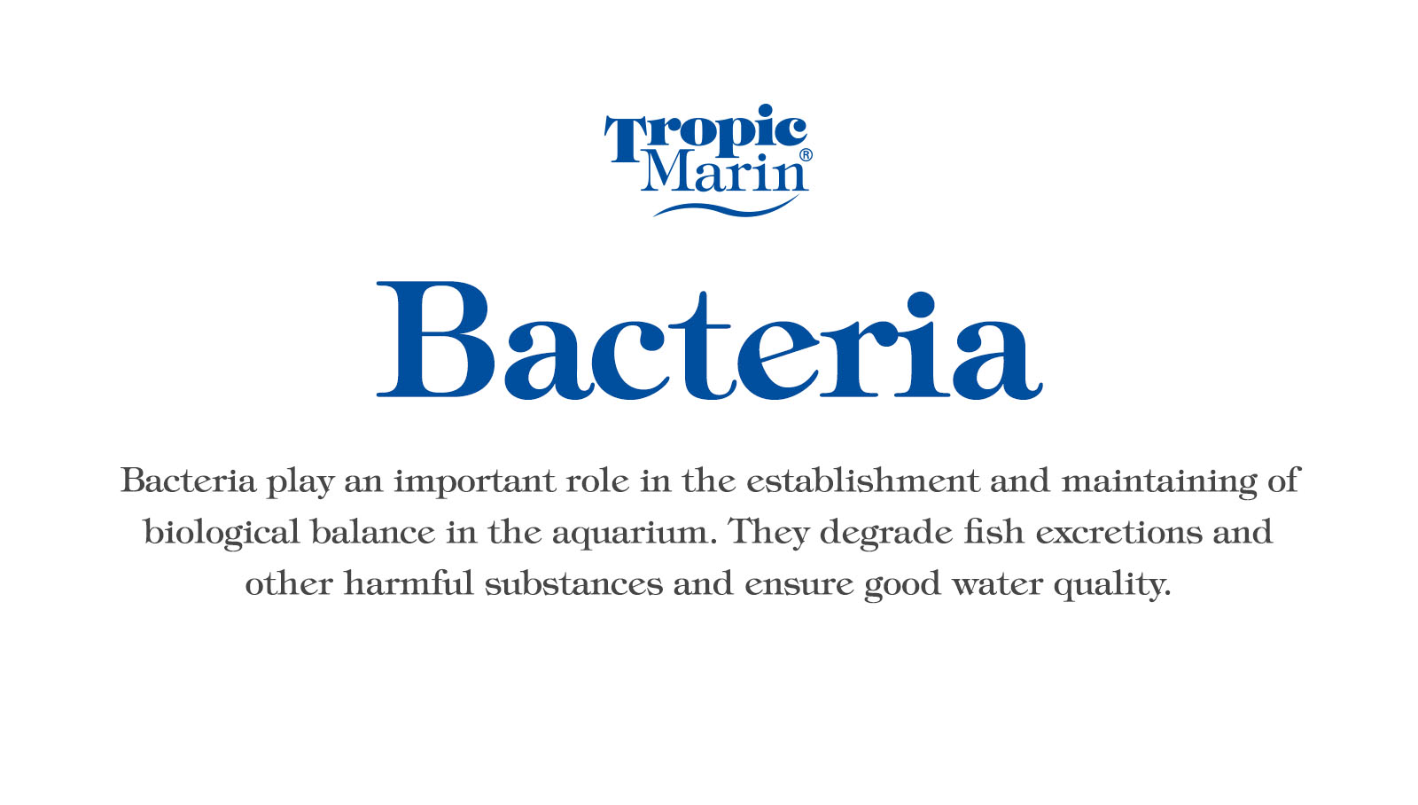 Tropic Marin Bacteria Tropic Marin Bacteria