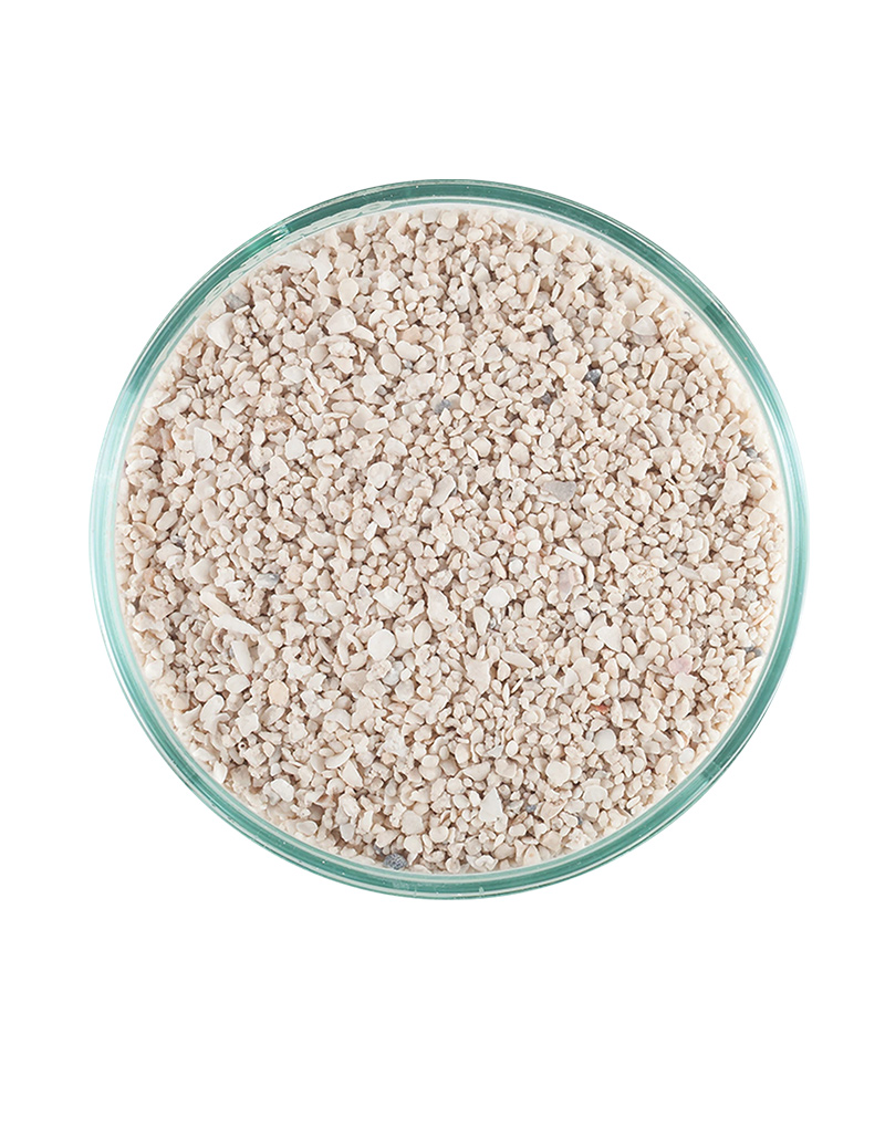 Arag-Alive Special Grade Reef Sand_2 Arag-Alive Special Grade Reef Sand