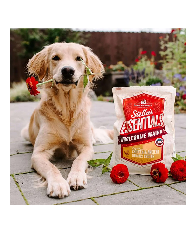 The importance of quality pet food suppliers in UAE The importance of quality pet food suppliers in UAE