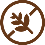 Icon_4